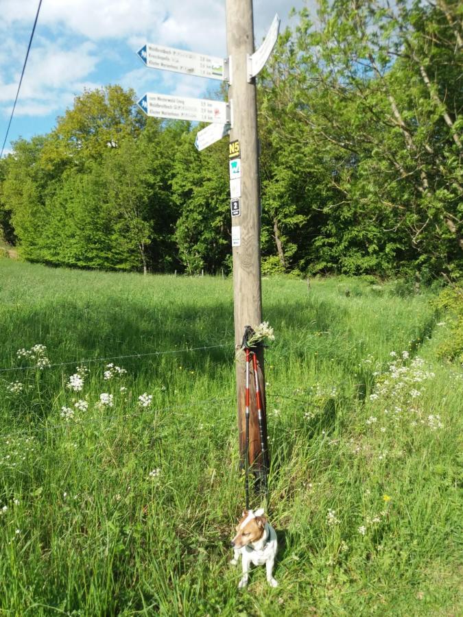 Waldbreitbach Ferienwohnung Momente מראה חיצוני תמונה